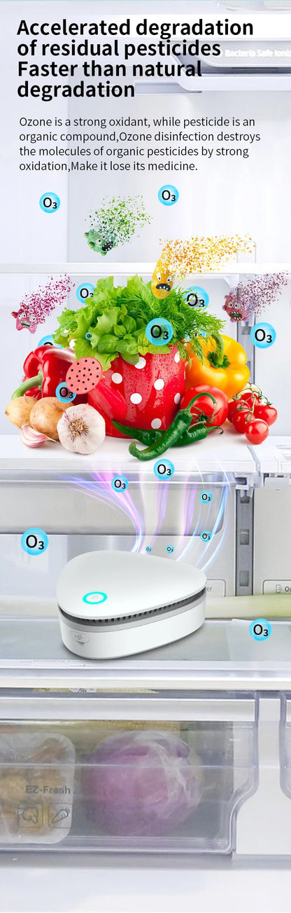 Car & Refrigerator Sterilizer