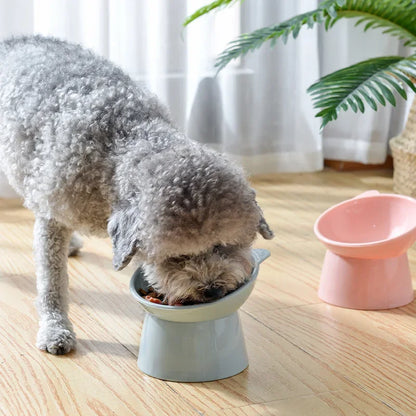 High Foot Pet Bowl