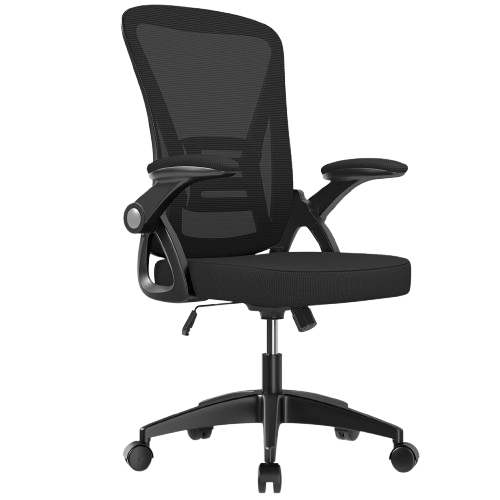 Ergonomic Office Chair